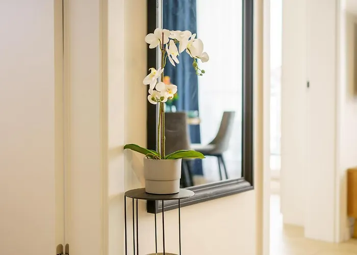 Sunset - Florencja 格里兹鲍